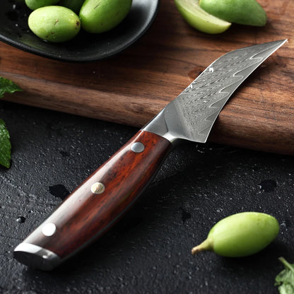 XINZUO 3" PRO Fruit Knife Damascus Steel Kitchen Knives Tools Japanese VG10 Core Razor Sharp Blade with Rosewood Handle