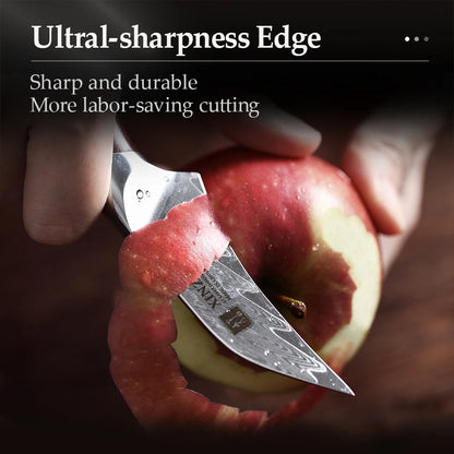 XINZUO 3" PRO Fruit Knife Damascus Steel Kitchen Knives Tools Japanese VG10 Core Razor Sharp Blade with Rosewood Handle