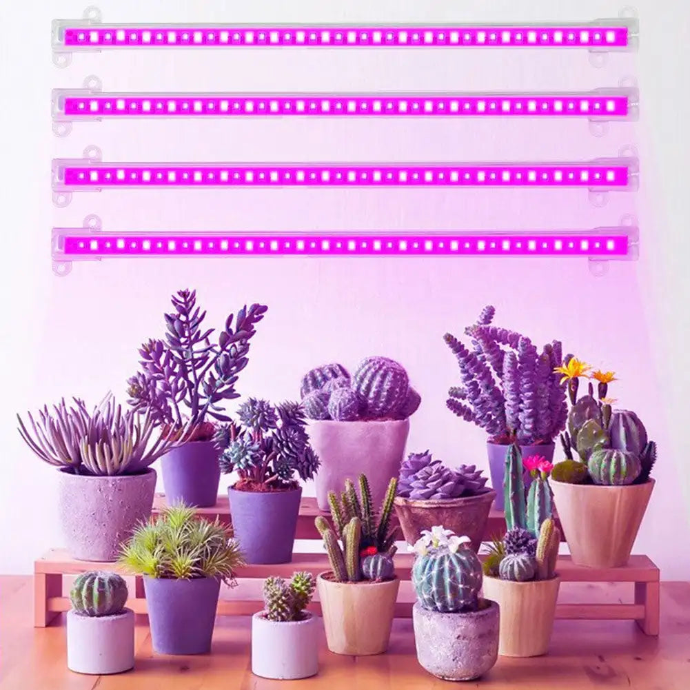 1/2/3/4 Red Blue LED Grow Light Strip Tube Indoor Plant USB Full Spectrum Phyto Lamp Dimmable Timer Seedlings Vegs Flower Lamp