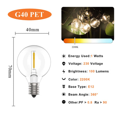 Vintage G40 Led String Light Replacement Bulb 1W Plastic Shatterproof Globe Mini Ball Lamp E12 Base 2200K PET Edison Light Bulbs