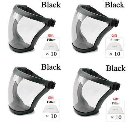 Transparent Security protection Full Face Shield Kitchen Anti-splash Face Shield Anti-fog Safety Glasses Face Mask With Filters