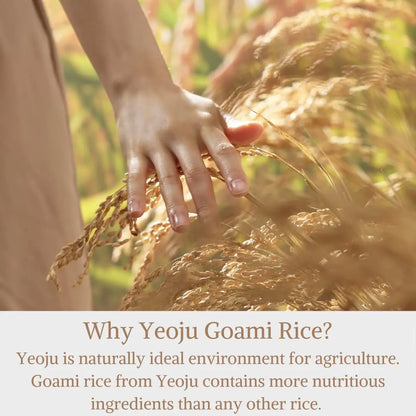 Rice Powder Toner 77.78% Korea Glow Essence with Niacinamide Hydrating for Dry Skin Facial Skin Care Brighten Improve Fine Line